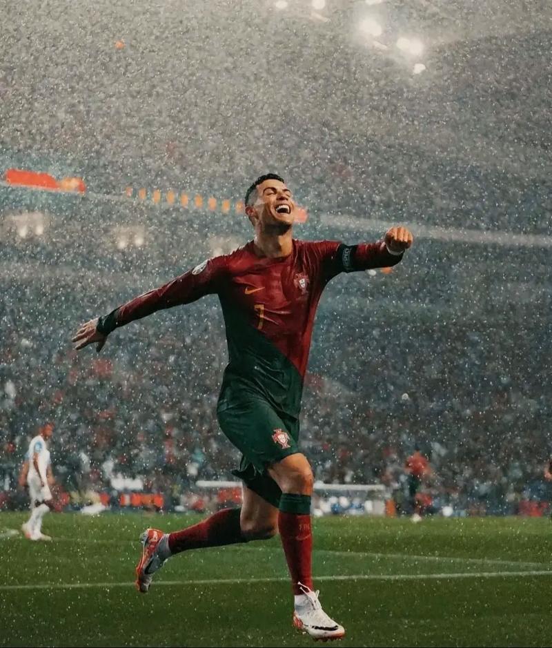 这个回合之后，比赛已经结束（这一回合结束，比赛就此落幕）