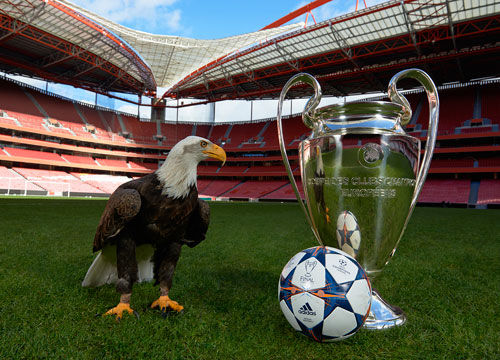 U18国足11月集训名单：魏祥鑫入选，海外球员谢初筠在列（U18国足11月集训阵容发布：魏祥鑫上榜，海外球员谢初筠入围）